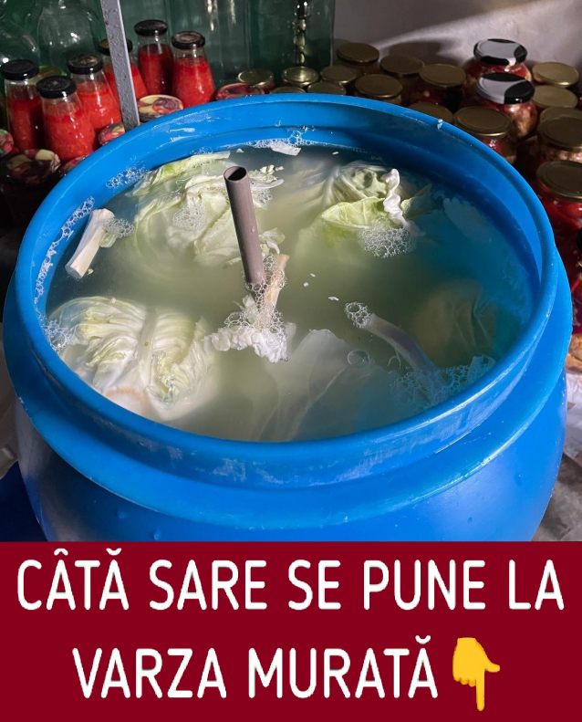 Varză