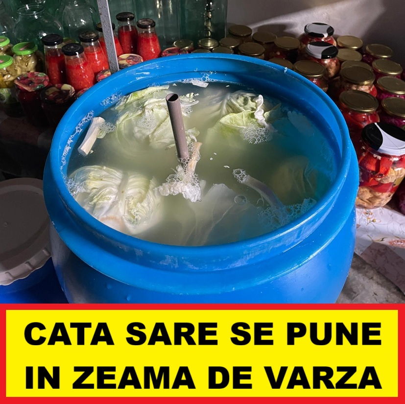 Zeama de varza murata