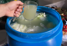 Zeama de varză murată: ce se poate întâmpla dacă o consumi timp de 7 zile și cine trebuie să fie atent