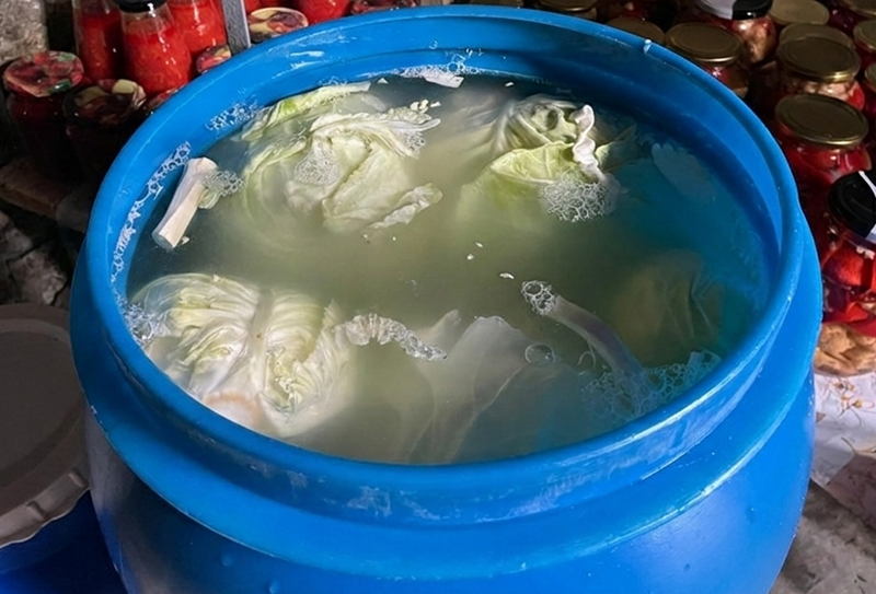 Varză